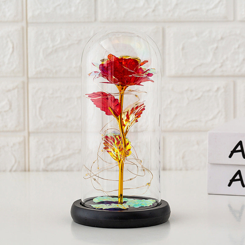 Preserved Rose Under Glass